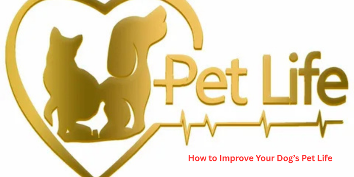 Pet life