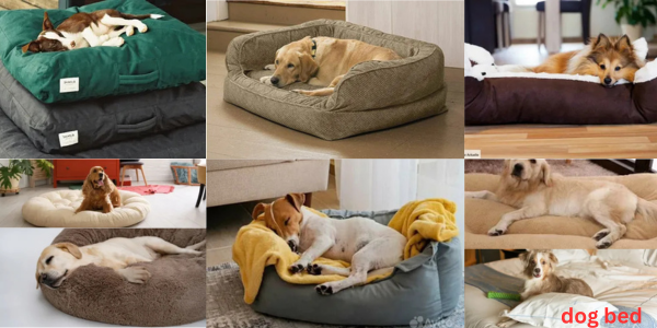 dog bed