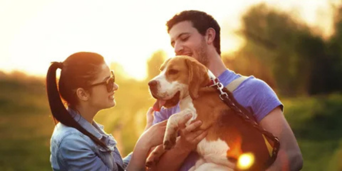 Love of dogs